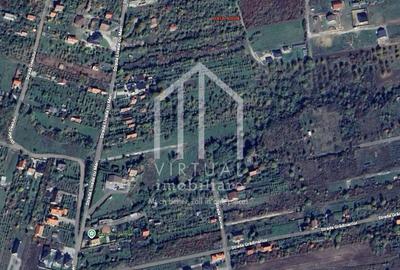 Teren intravilan de constructii - 263 mp - Daia Noua - 1