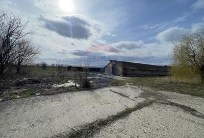 Teren 73,351mp plus Constructii Focsani / Calea Munteniei - 15