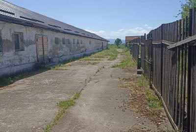 De vânzare spațiu industrial la Ilieni - 12
