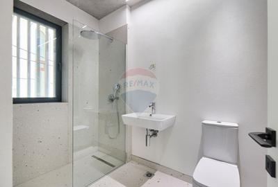 Duplex 4 camere, curte proprie, 2 parcari, Floreasca -Dorobanti - 21