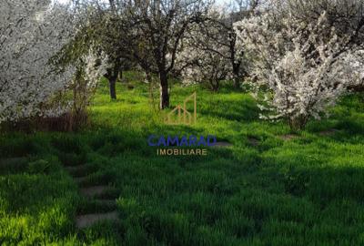 Casă de vânzare în Tămădău Mare, jud. Călărași – Strada Principală - 18