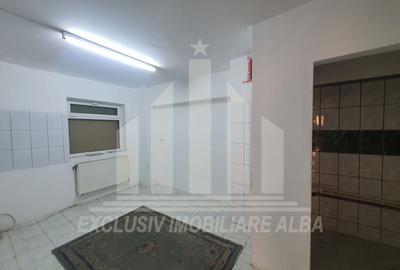 Spatiu comercial | De inchiriat | 153 mp | Cetate - 3