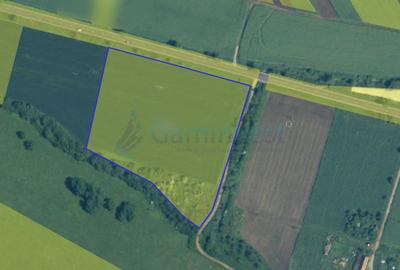 Teren intravilan 2 ha de vanzare in Pecica la DN7, judetul Arad, Romania - 1