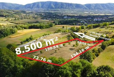 VIDEO | Super view | Teren 8.500 m² in Maramures | Viitorul tau colt de liniste - 13