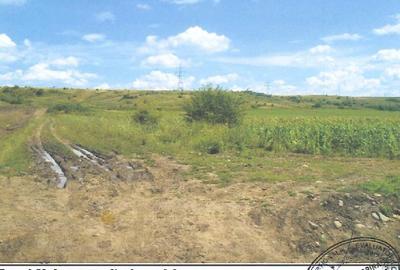 Teren agricol extravilan de 6900 mp, în Sud