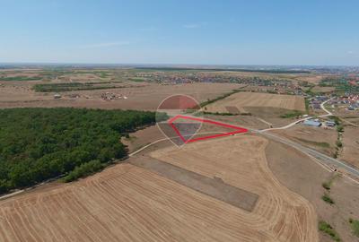 Terenuri 16.144 mp, Inel Metropolitan, vânzare integral sau separat - 10