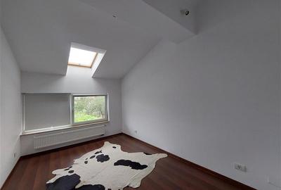Casa superba in Gradiste - 17