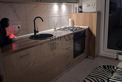 Apartament cu 2 camere + Terasă + Curte - Pallady - Parcul Teilor - 7