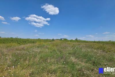 Teren 855 mp, lângă grădinița Zori de Zi, Mogoșoaia, complex 31 de case - 8