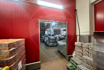 Spațiu/depozit de închiriat în zona Pantelimon - 10