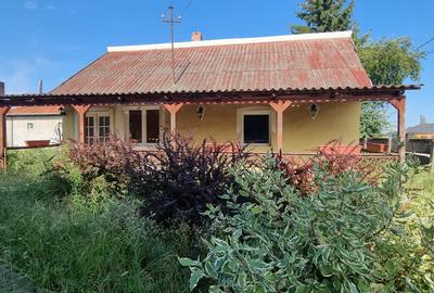 Casa cu teren 37 arii Apateu 45000 Euro - 10