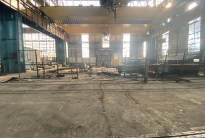 Spatiu industrial, 19900 mp, pod rulant 50 tone, zona Craiova Est - 6