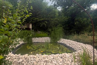 Vânzare Proprietate de excepție cu lac amenajat și pădure proprie | Gura Ocniței - 7