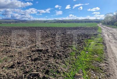 Teren agricol extravilan de 15000 mp, în Bod