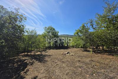 Teren intravilan 5.051 mp, Borhanci, Str. Antonio Gaudi, UTR ULiu - 7
