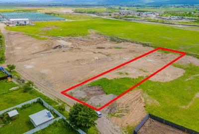 Teren 1450 mp intravilan, construibil Carpinis - 2