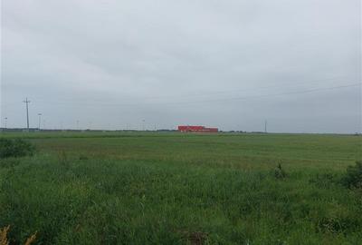 Teren extravilan sos. Arad - Sofronea - 3