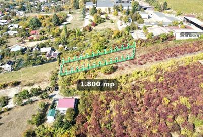 Teren intravilan de 1.800 mp, lângă cramă, Viișoara, Ștefănești, Argeș - 1