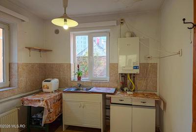 Lunei - Ion Neculce, 2 Apartamente. Mansarda 157 mp. Anexe, Lot 475 mp - 40
