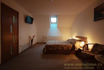 Casa renovata, mobilata si utilata complet - 9