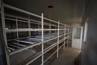Teren comercial 1243 mp cu cladiri P1 si P3 pe Sos Bucuresti Urziceni zona Doral - 7
