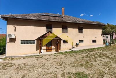 Casa de vanzare localitatea Cladova, judetul Arad - 18