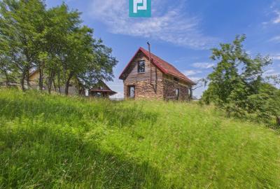 Casă de vacanță cu 2 corpuri si view în Dulcele - 22