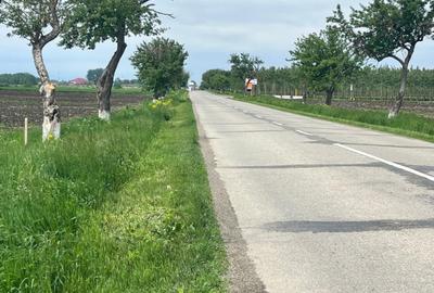 Teren agricol extravilan de 3750 mp, în Exterior Nord