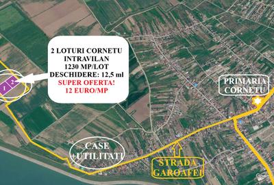 Proprietar – Lot teren 1230 mp în Cornetu - 12,5 ml deschidere la drum - 2
