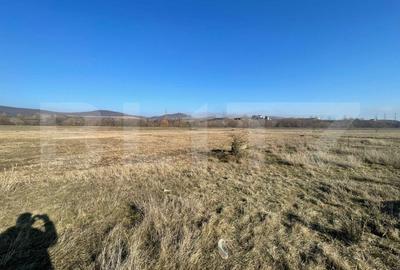 Teren Construcții extravilan de 5000 mp, în Bărăbanț