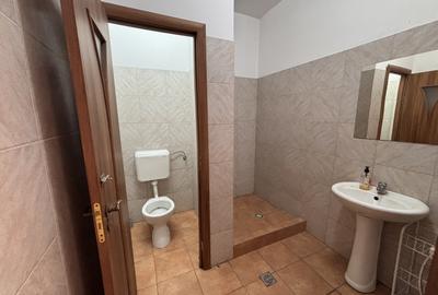 Spatiu Depozitare / Productie / Birouri - Metrou Costin Georgian - 8