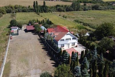 Teren 3.800 mp Vâlcele | Intravilan | E60 | Utilități | Parcelare - 5