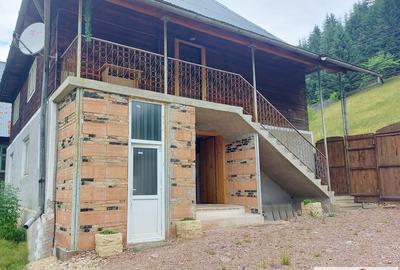 Casa de vanzare in Muntii Apuseni - Horea - 2