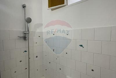 Apartament cu 1 camera in Micalaca - 5