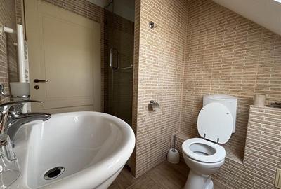 Proprietate de patrimoniu pe malul lacului Paleu - Teren 2.300 mp - piscina - Co - 13