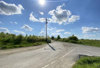 Teren intravilan 12631 mp , front stradal 151m /Sibiu/ Parc Ind. Selimbar - 8