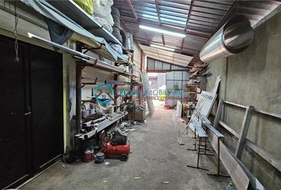 Royal Imobiliare-Vanzare Spatiu de Productie Zona Nord - 11