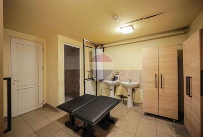 Hală în parc industrial Borș 1, teren 2.903 mp, de vânzare - 28