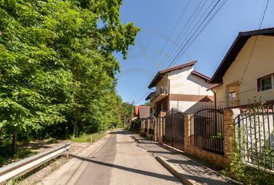 Casa P+M langa Padurea Trivale - 2