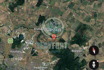 Teren Intravilan Lot de Casă  cu vedere lac 1.000 m.p Găneasa Ilfov - 12