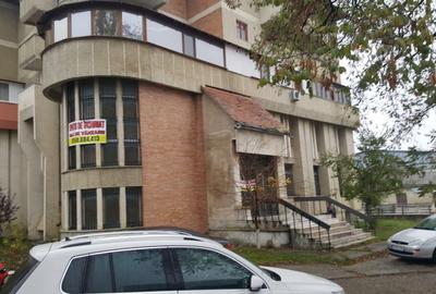 Spațiu comercial, 887 mp în Târgu Neamț