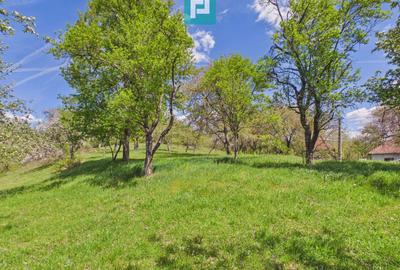 Proprietate rară cu 24.270 mp, în Măgulicea, Arad! - 29