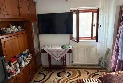 Casa cu 4000 mp teren, Letca Noua, Giurgiu — 1h de București - 14