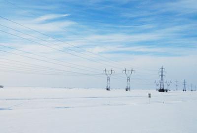 Teren agricol extravilan de 12500 mp, în Dascălu - 2