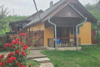 Casă cu teren 3.000 mp de vânzare, str. Adevărului-CV0529 - 23
