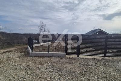 Teren Construcții intravilan de 1500 mp, în Albota