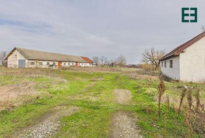 Proprietate industrială + Teren 8.632 - Voiteg - Județul Timiș - 21