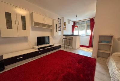 Apartament cu o camera Pod Piatra/Cantemir - 5