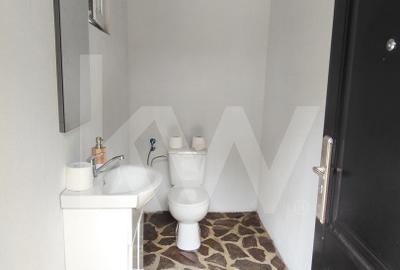Vila de poveste din Valea Avrigului de vanzare - 28