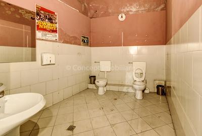 Spatiu Comercial de vanzare LIPSCANI, 209mp - 22